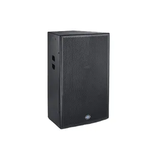 Guangzhou factory price 300W 10 inch woofer 2 way DJ/PA system MDF wood sound box karaoke passive speaker