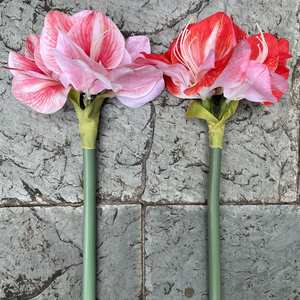 LO-610 Vente en gros de fleurs artificielles réalistes de 64 cm, Clivia à toucher réel, hydratante, à tige unique, <span class=keywords><strong>Amaryllis</strong></span>, fleur artificielle pour la décoration de la maison - Product Image 4