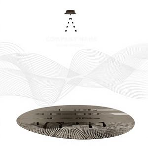 Impressions sur toile Décoration intérieure Taille personnalisée VN Grand format Style moderne Impression couleur pleine Impression murale - Product Image 1