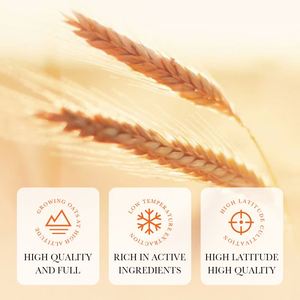 SADOER OEM Crème anti-vergetures naturelle <span class=keywords><strong>hydratante</strong></span> grossesse vergetures élimination des taches de rousseur crème pour le <span class=keywords><strong>visage</strong></span> pour les femmes enceintes - Product Image 3