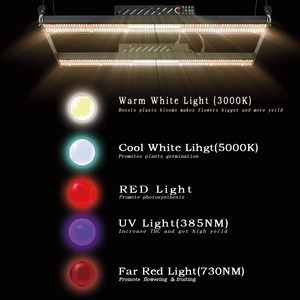 $<span class=keywords><strong>10</strong></span>ชิ้นไฟ <span class=keywords><strong>LED</strong></span> สำหรับปลูกพืช400วัตต์ <span class=keywords><strong>LED</strong></span> สเปคตรัมจาก Lm301h ซัมซุงสามารถหรี่แสงได้ Ip65 3ปี - Product Image 5