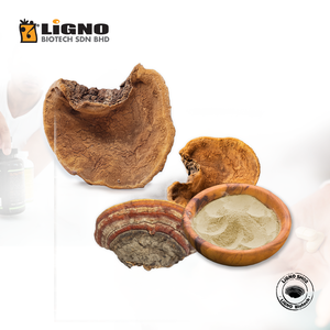 Proveedor de Malasia: Polvo de Hongo Activo Sang Huang LiGNO SH02 de Calidad Premium para Cuidado Tópico de la Piel, Producción OEM - Product Image 1
