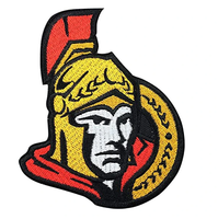 Logo de la Ligue nationale de hockey personnalisé brodé de patchs en feutre thermocollant pour chapeaux et sacs-Fournisseurs et fabricants respectueux de l'environnement