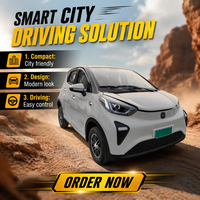 Nouveau Design SUV Électrique 2025 de Haute Qualité, Véhicule Électrique Intelligent à Propulsion Arrière, Autonomie de 100 km, Sièges Manuels, Sièges Luminiscents
