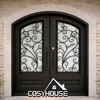 Puerta de Entrada de Hierro Arqueada de Lujo con Vidrio Decorativo y Rejilla de Acero para Casa o Villa