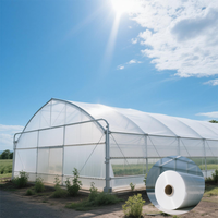 Film PO Direct Usine pour Serre Tunnel Haute, Grande Bâche Plastique Double Couche Résistante aux UV et Robuste pour l'Agriculture