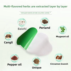 2025 absinthe <span class=keywords><strong>moxibustion</strong></span> minceur Patch ventre pour brûler les graisses façonnage taille gros ventre paresseux corps nombril autocollant - Product Image 5