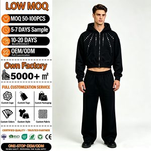 Conjunto de Sudadera con Capucha y Pantalones Deportivos Personalizados para Hombre, Logotipo DL Bordado, Color Sólido, Ropa Casual de Calle, para Otoño, 100% Algodón, Felpa Francesa - Product Image 1