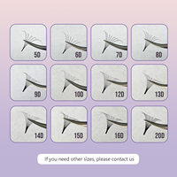 5D Base mince tige moyenne longue 0.07 Volume préfabriqué Base pointue Extensions de cils aiguille tige pointue Promade Volume ventilateurs grande boîte