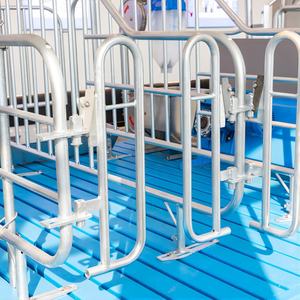 Nouvel équipement d'élevage porcin personnalisé en promotion, cage de gestation pour porcs durable à longue durée de vie en acier galvanisé à chaud - Product Image 6