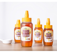 Usine PP Remplissage à chaud Sauce miel Mayonnaise Sauce chili Bouteilles à presser en plastique Condiment
