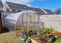 Serre tunnel économique personnalisable pour jardin, serre de jardinage à accès direct