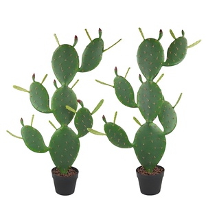 Vente en gros Grande plante Bonsaï Fleur en plastique <span class=keywords><strong>Cactus</strong></span> artificiel pour décoration de salle à manger - Product Image 4