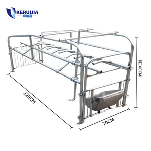 Nuove Gabbie di Gestazione per Suini Personalizzate, Recinti per Maternità con Mangiatoia in Acciaio Zincato 220*60cm - Product Image 3