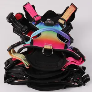 Custom High Quality Lighthound Led <b>Dog</b> Harness Rechargeable XL Size Oxford Soft Mesh Reflective Durable Nylon Walking Harness - Product Image 4