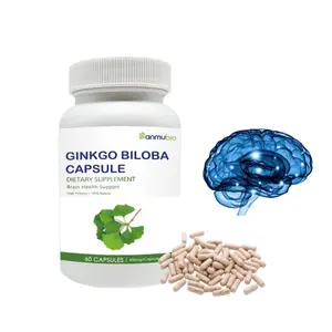 Cápsulas de Ginkgo Plus com fórmula rica em antioxidantes de ginseng feito sob medida