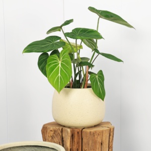 Maceta Grande <span class=keywords><strong>de</strong></span> Cemento y Magnesio Estilo Nórdico <span class=keywords><strong>para</strong></span> Patio, Balcón, Uso en Exteriores, Maceta <span class=keywords><strong>de</strong></span> Pie <span class=keywords><strong>para</strong></span> Plantas Verdes, Diseño Simple - Product Image 2