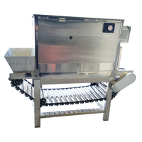 Machine à éplucher les légumes, l'ail et les oignons multifonctionnelle à chaîne pneumatique, moteur à engrenages, acier inoxydable de qualité alimentaire, industrielle