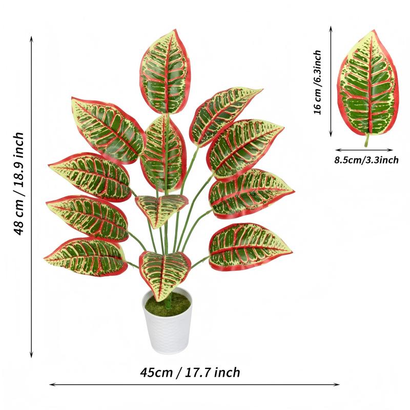 ใบไม้สีเขียว 12 ใบ