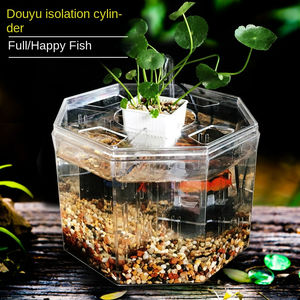 Mini aquariums LED multifonctionnels pièces, accessoires et petits Aquariums écologiques <span class=keywords><strong>pour</strong></span> étang à poissons, équipement <span class=keywords><strong>pour</strong></span> salon et bureau - Product Image 2