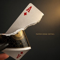 Cartes à jouer en papier écologiques durables sur le thème des compagnies aériennes Black Gold, designs personnalisés, finition lisse, coins arrondis, vernies