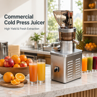 Nouvelle Machine à Jus Industrielle Compacte et Pratique de Haute Qualité pour Fruits et Citrons