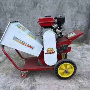 <span class=keywords><strong>Broyeur</strong></span> de bois à alimentation automatique à essence, robuste, <span class=keywords><strong>broyeur</strong></span> de branches d'arbres portable pour le recyclage des déchets de <span class=keywords><strong>jardin</strong></span> - Product Image 2