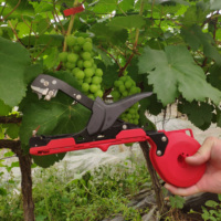 Machine manuelle d'attachage des plantes agricoles pour vignobles, serres, vergers et pépinières