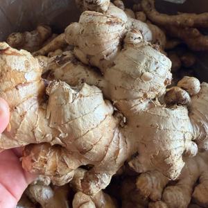 Чистый органический высококачественный сушеный корень старого имбиря с фермы Гуанси, бренд Yongjiang, срок хранения 3-6 месяцев - Product Image 6