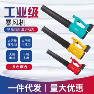 Souffleur-aspirateur sans fil à double fonction, moteur sans balais, 17000 tr/min, outil de nettoyage domestique alimenté par batterie, modèle Jc 800 - Product Image 4