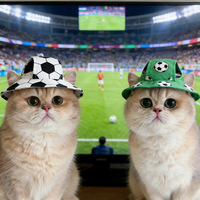 Accessoires pour animaux de compagnie à motif football peint, toutes saisons : Chapeau de soleil respirant à cache-oreilles pour chat et chien, réglable, style pêcheur, et ensemble collier