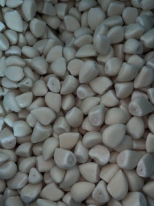 Ajo Congelado de Alta Calidad, Cosecha 2026, Certificado BRC(A) ISO22000, Ideal para Sazonar y Procesamiento Industrial de Alimentos - Product Image 3