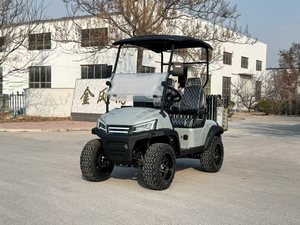 Nuevo Producto Más Vendido, Carrito de Golf de 2 Plazas, Scooter de Golf, Carrito de Golf para Adultos, Carrito de Golf Económico de 2 Plazas, Tipo Básico, 3.5k, 2 Plazas, B - Product Image 2