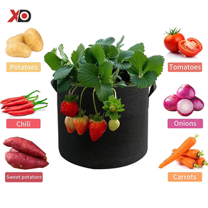 Seau de plantation <span class=keywords><strong>en</strong></span> feutre de tissu non tissé noir sac de culture de semis de pommes de terre de fleurs de jardinage - Product Image 1