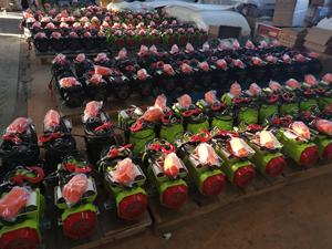 Iehc kualitas tinggi 220v 400kg derek listrik dengan Motor tanpa sikat cepat tali kawat baja untuk - Product Image 6