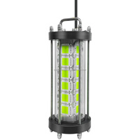 Lampe LED sous-marine haute puissance 220V 1000W 2000W 3000W 4000W 5000W 7500W IP68 étanche pour attirer les poissons et pêcher les calmars depuis bateau marin