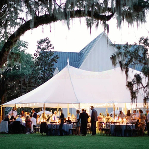 Carpa de PVC Resistente para Fiestas, Carpa de Jardín, Carpa Moderna para Eventos con Paredes de Ventana Extraíbles, Carpa de PVC para Bodas - Product Image 4