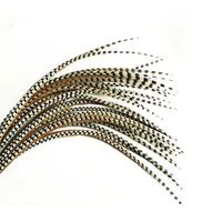 Plume de faisan commun pour la décoration de chapeaux pour femmes et de chapeaux de cowboy, la confection de mouches de pêche à la mouche, la fabrication de chapeaux, la fabrication de bijoux, les costumes, la décoration intérieure