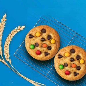 Galletas de chocolate con chispas de chocolate de China Charm Snacks, fabricantes de galletas - Product Image 1