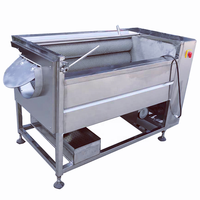 Pinda Aardappel Gember Borstel Wassen Cleaning Machine Groente/Fruit Wassen Verwerking Lijn Gemaakt In China