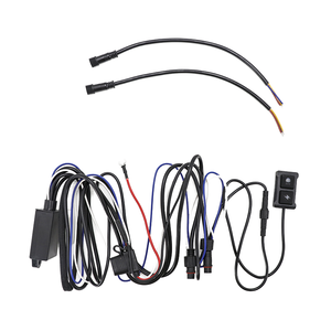 Kabel Adaptor Micro Male/Female <span class=keywords><strong>2</strong></span>-Pin 1.25mm 50mm/100mm Hitam Merah Tembaga Murni 30AWG PVC 12V WLBE XHP-6 OEM/ODM untuk Elektronik - Product Image 6