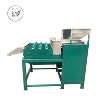 Machine à décortiquer et à peler les noix de macadamia en acier inoxydable 304, traitement de pré-rôtissage, alimentation automatique pour l'industrie des aliments en conserve