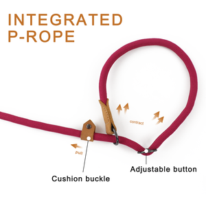 Correa personalizada para perros, cuerda antideslizante, correa de nailon para perros manos libres, correas de plomo de entrenamiento sin tirones para perros medianos, grandes y pequeños - Product Image 2