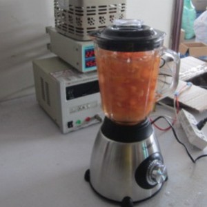 เครื่องปั่นแบบดั้งเดิม โถแก้ว ฐานสแตนเลส ใช้ไฟฟ้า รุ่น Y-66 - Product Image 5