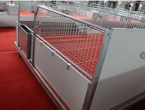 <strong>Pig</strong> Farming Equipment <strong>Pig</strong> Weaning Stall Nursery Pen <strong>Pig</strong> Nursery Pen - Product Image 5