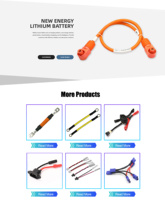 La fábrica proporciona Arco Iris personalizable Multicolor 8 10 15 20 30 40 Pin Flex paso de 2,54mm OEM/ODM uso electrónico arnés de cableado