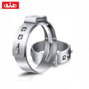 Collier de serrage Dwb en acier inoxydable 304 de 1/2 po et 3/4 po avec technologie PEXGrip pour la <span class=keywords><strong>plomberie</strong></span> et les tubes <span class=keywords><strong>PEX</strong></span> - Product Image 1