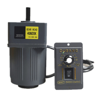 5IK120GU 120W 1phase basse vitesse couple élevé moteur à courant alternatif 220V avec boîte de vitesses