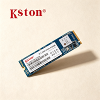 SSD Internal Kston 256GB M.2 2280 NVMe PCIe 3.0 untuk Laptop, Layanan OEM, Logo Kustom