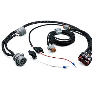 OEM Özel Otomotiv Kablo Demeti, Oluklu Borulu Su Geçirmez Elektrik Kablo Grubu - Product Image 4
